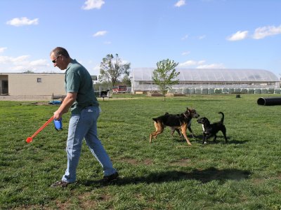 Dave Rothenay with Max & Gus in background