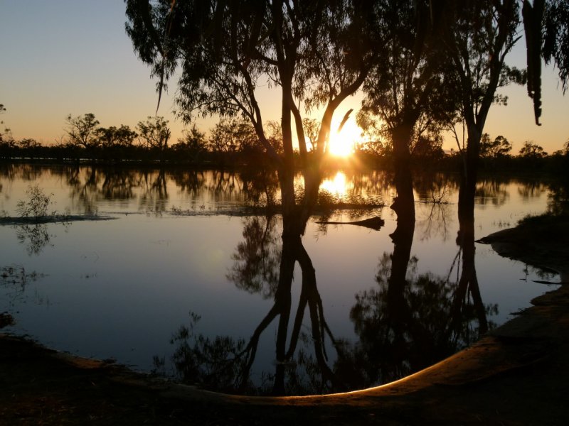 Murray River sunrise 