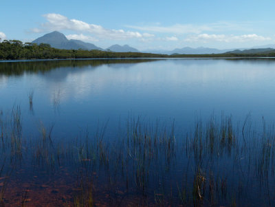 Lake at Melaleuca 