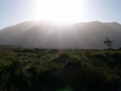 Sunrise over buttongrass plains 