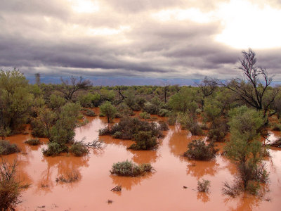 Outback flooding 