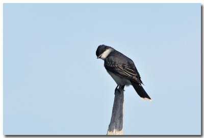 DSC_3029_F.jpg