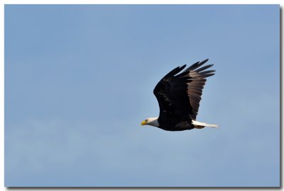 DSC_3150_F.jpg