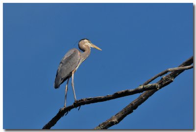 DSC_3325_F.jpg