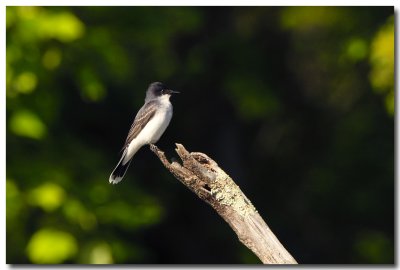 DSC_3469_F.jpg