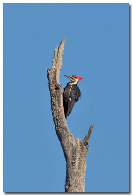 DSC_3598_F.jpg