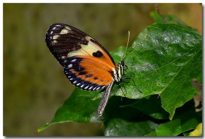 IMG_8746 copy.jpg