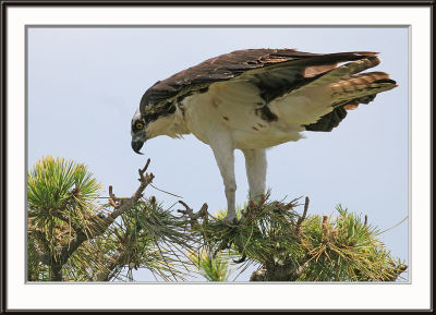IMG_4995pS.jpg