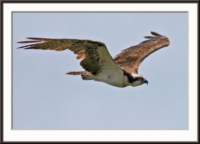 IMG_5019pcs.jpg