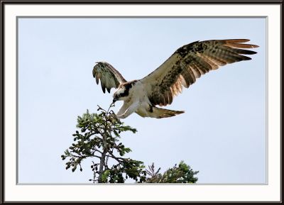 IMG_5207pcs.jpg