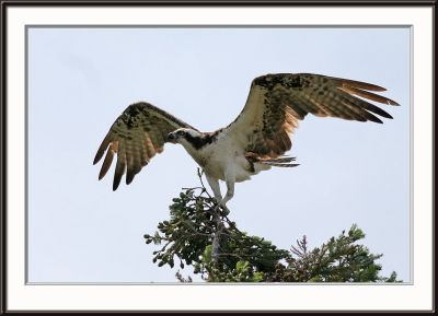 IMG_5210pcs.jpg