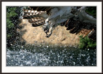 IMG_5233ps.jpg