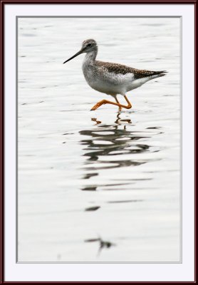 IMG_5664ps.jpg