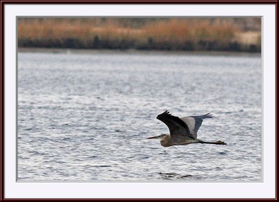 IMG_5775ps.jpg