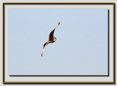 IMG_2410ps.jpg