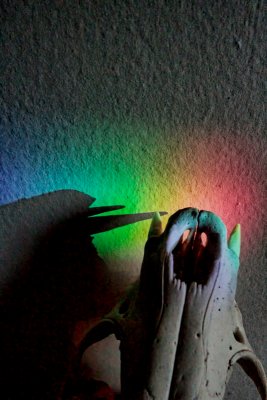 Rainbow Shadow