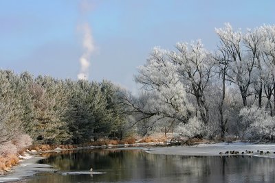 Frost and Fog 42.jpg