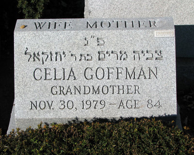 Celia Goffman stone