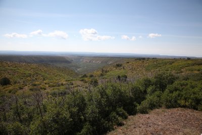 Mesa Verde - CO