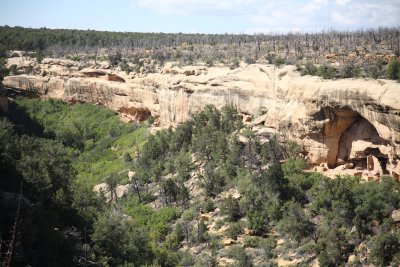 Mesa Verde- CO