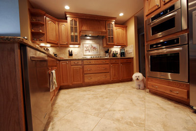 Back Splash Complete - Wide Angle