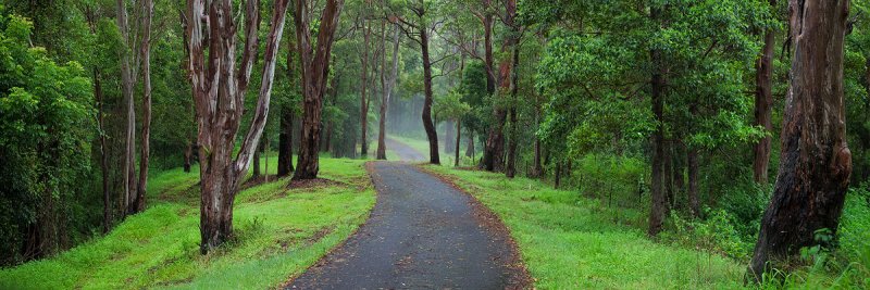 Hinterland Track