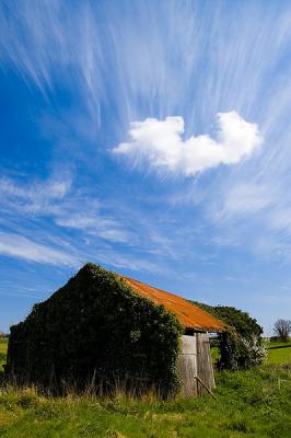 Old Barn