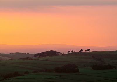 Tangerine Sky