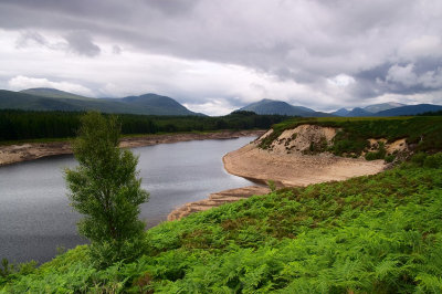 Glen Spean