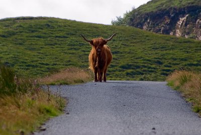 Skye Traffic