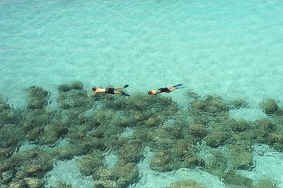 People Varadero Snorkeling Dupont 6-4-002-18.jpg