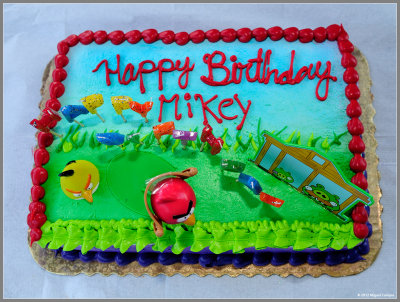 Mikey's 8th Birthday