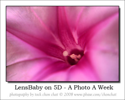LensBaby with Macro