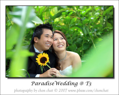 Paradise Wedding 08