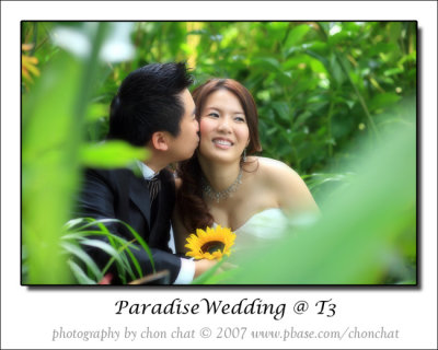 Paradise Wedding 09