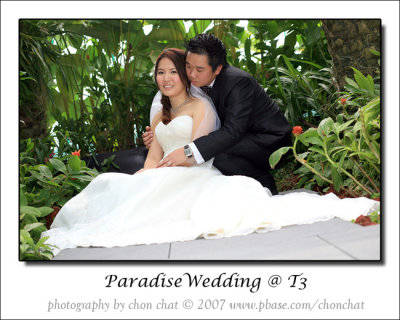 Paradise Wedding 10