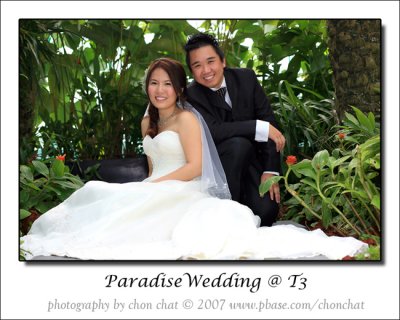 Paradise Wedding 11