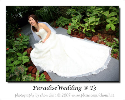 Paradise Wedding 14