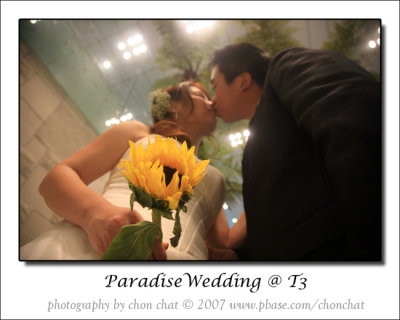 Paradise Wedding 17