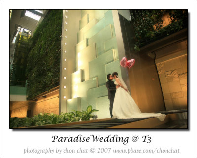 Paradise Wedding 23