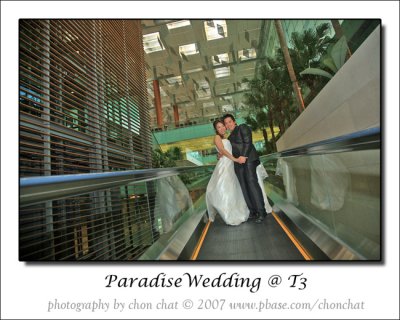 Paradise Wedding 25