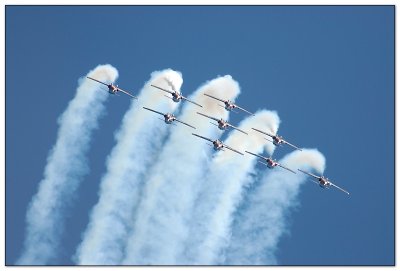 snowbirds