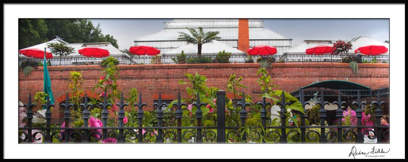 Red Umbrella Panorama