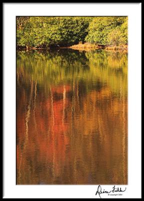 Fall Lake Abstract