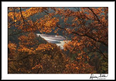 Fall Framed Lake