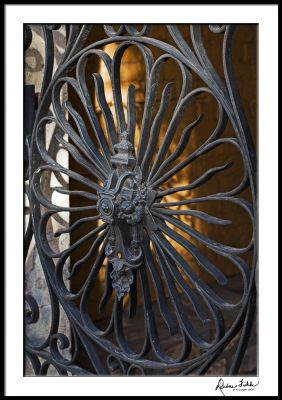 Gate Detail