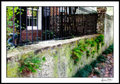 Fern Wall