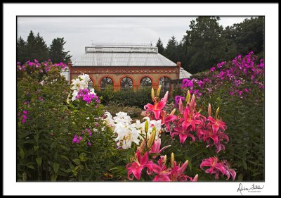 Biltmore Greenhouse Framed