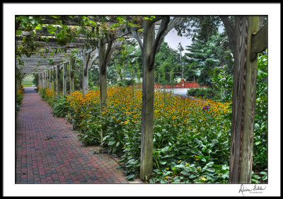 Biltmore Winery Arbor