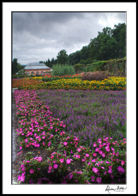 Stormy Biltmore Garden 2